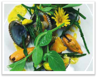 Head chef at Mingarry Park, Argyll - Steamed cockles, smoked Mallaig mussels, samphire, cured egg yolk, foraged wild flowers, dill & caper dressing