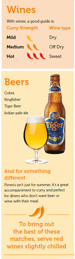 Curry drink pairings