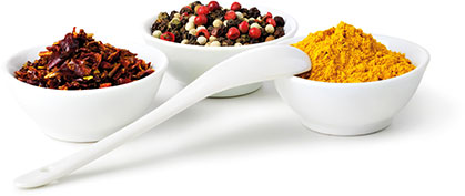 common spices used in curry