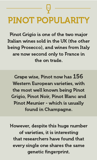 What's Happening to Pinot? Grigio? factoids - Take Stock Magazine