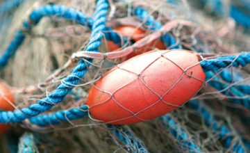 Britannia Rules the Waves