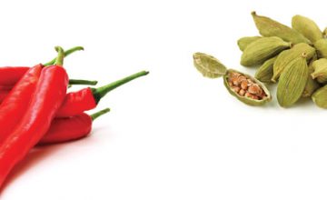 The Healing Power of Spices