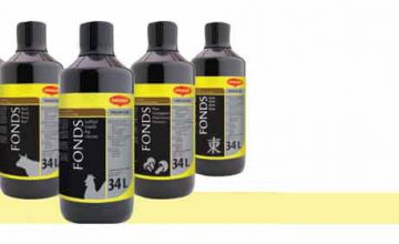 Maggi Launches Flavour Enhancing Stock