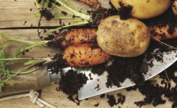 Grow Your Own