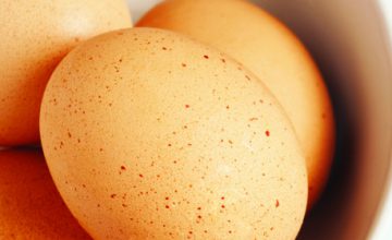 Egging on Young Diners