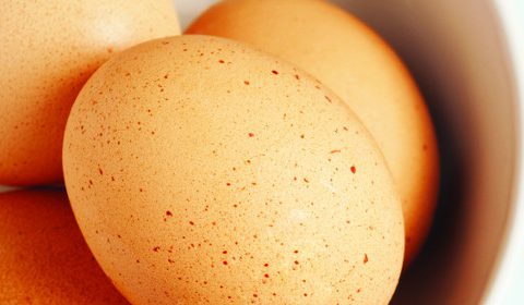 Egging on young diners