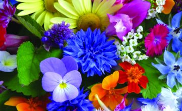 Flower Power