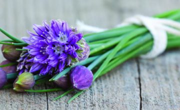 Make your Menu Blossom
