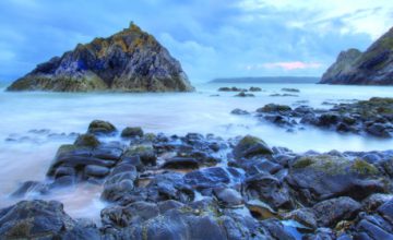 Forage for seaweed
