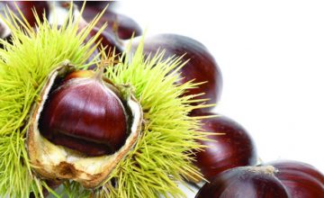 Chestnuts Roasting the Festive Flavour