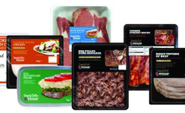 Tulip Blooms in Foodservice