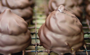 Fermented Pumpkin Ice Cream