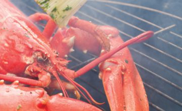 Grilled Lobster with Herb Butter