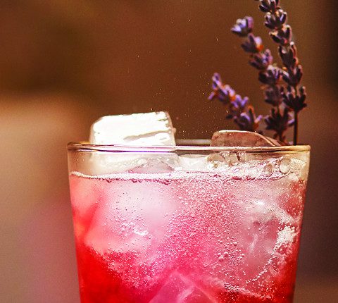 Sparkling Thistle