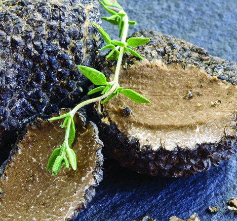festive truffles