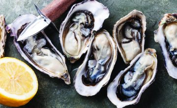 Oysters