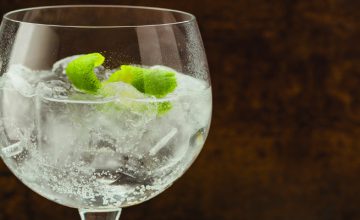 Gin Fizz