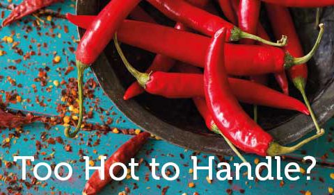 Too Hot Header Image