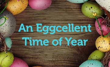 An Eggcellent Time of Year