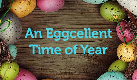 Eggcellent time of year