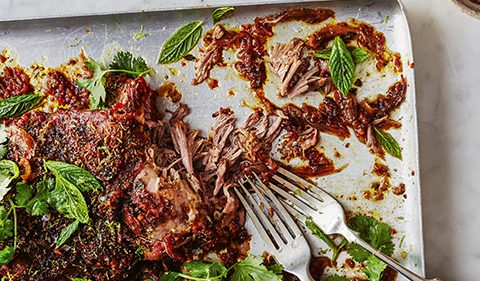Pulled Lamb with Fiery Mint Chutney
