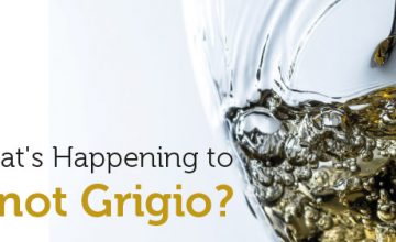 What’s Happening to Pinot Grigio?