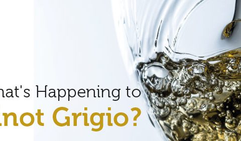 What's Happening to Pinot Grigio? - Take Stock Magazine