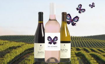 The Butterfly Effect