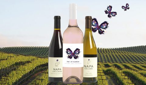 The Butterfly Effect - Take Stock magazine