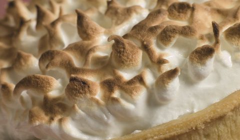 Christmas meringue pudding Take Stock Magazine