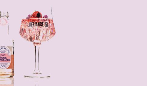 Take_Stock_Magazine_Defiance_Wild_rose_Gin