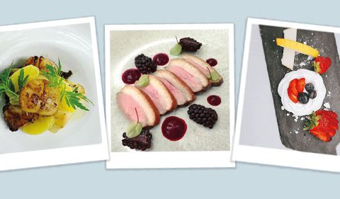 Take_Stock_Magazine_Feed_Your_Eyes_feature