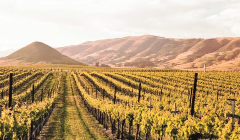 Take_Stock_Magazine_Feature_Sparking_Profits