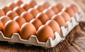 Eggs, milk, soya: allergen advice for caterers