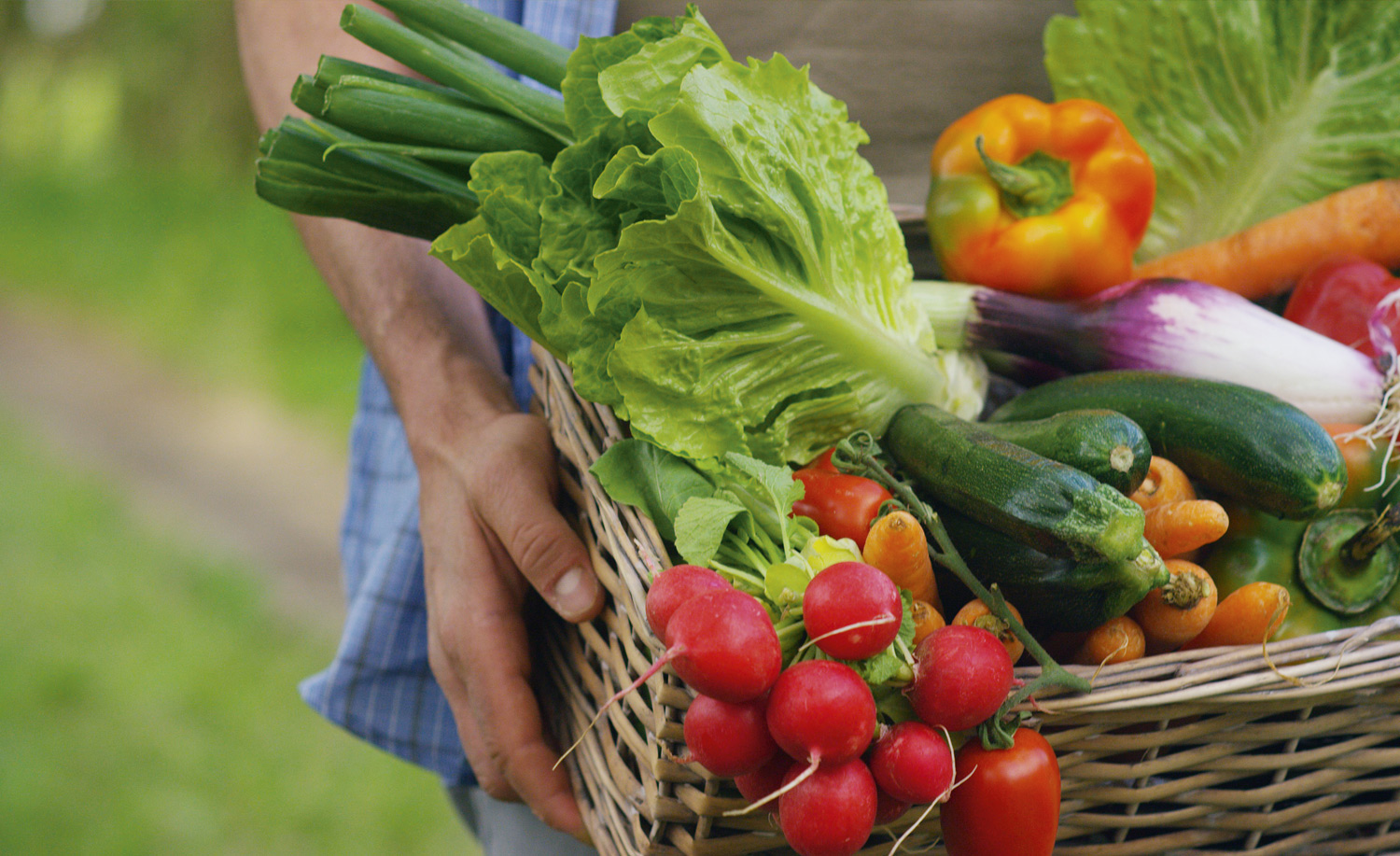 Person carrying box of fresh vegetables