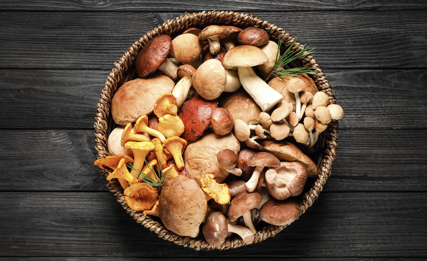 What to put on your menu for World Vegan Month