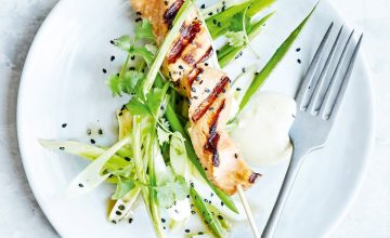 Teriyaki Salmon Skewers