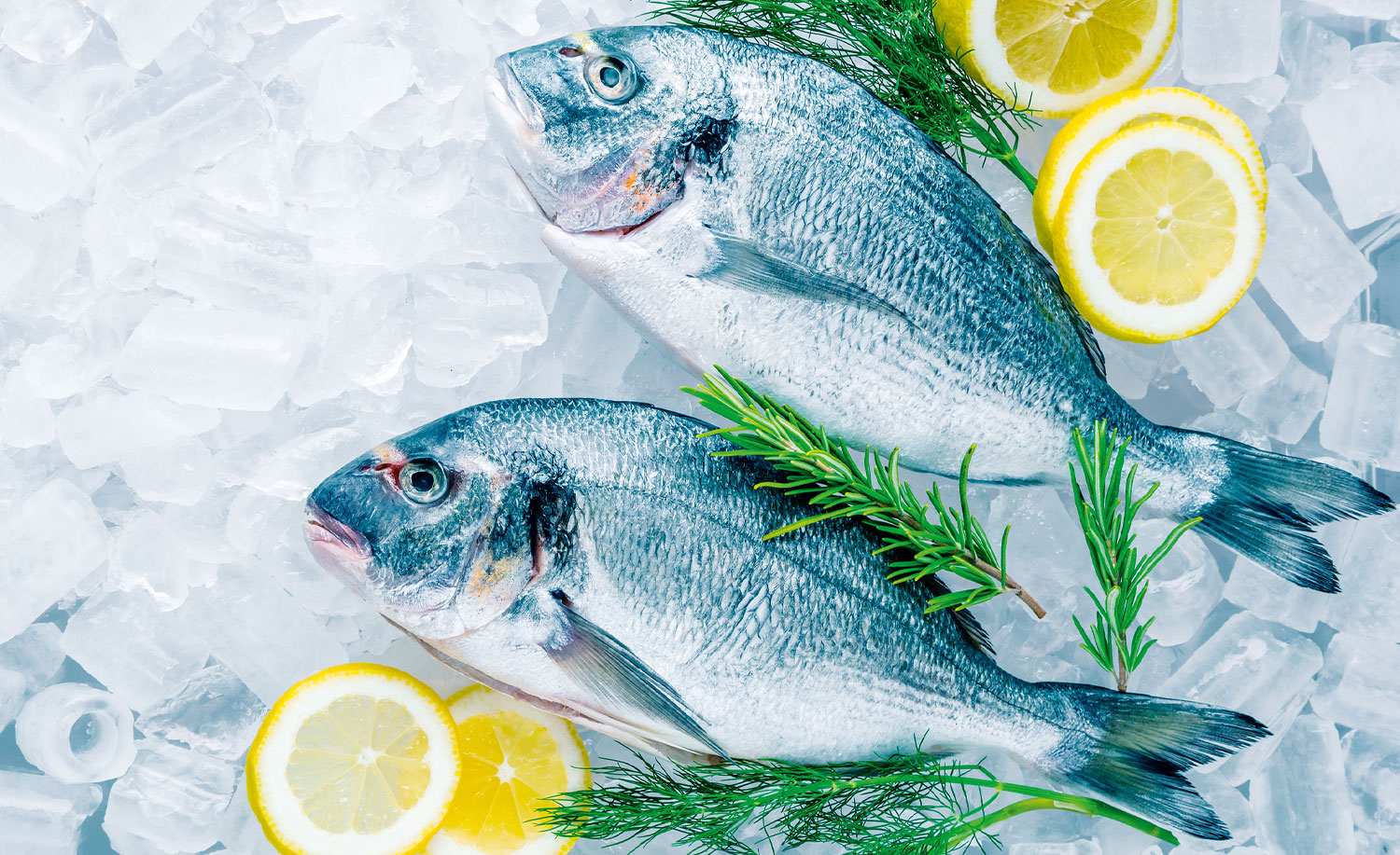 How to buy, prepare and cook fish and seafood properly