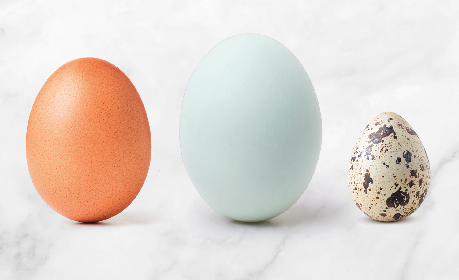 hen egg, duck egg, quail egg