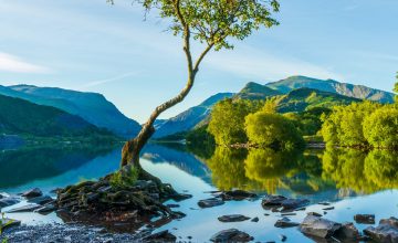 The best food and drink in Wales