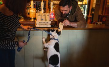 ADVICE: Dogs really are a venue’s best friend