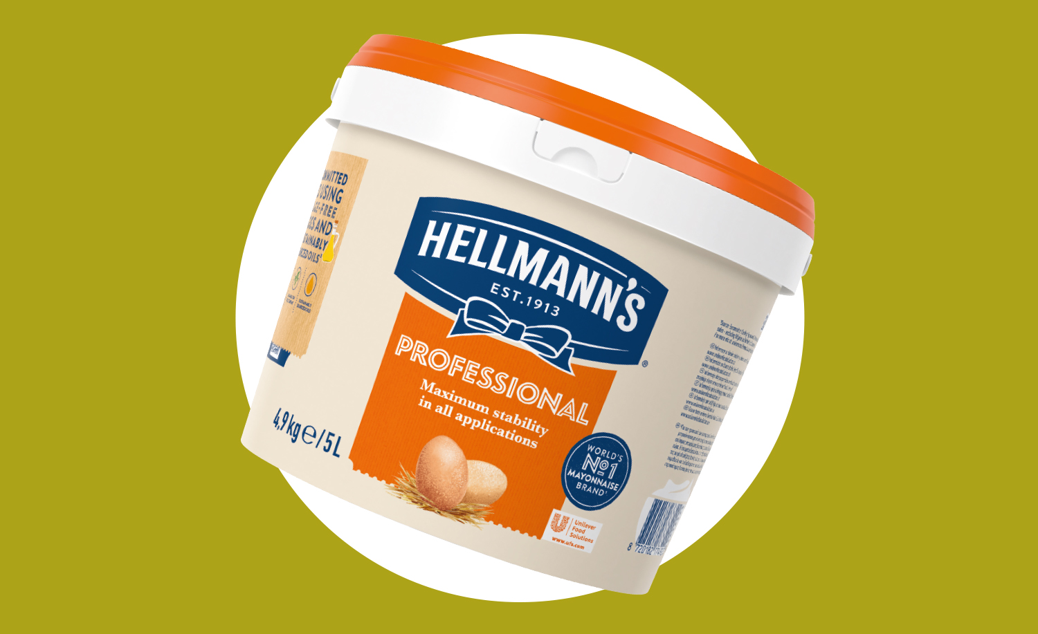 4 innovative ways to use mayo
