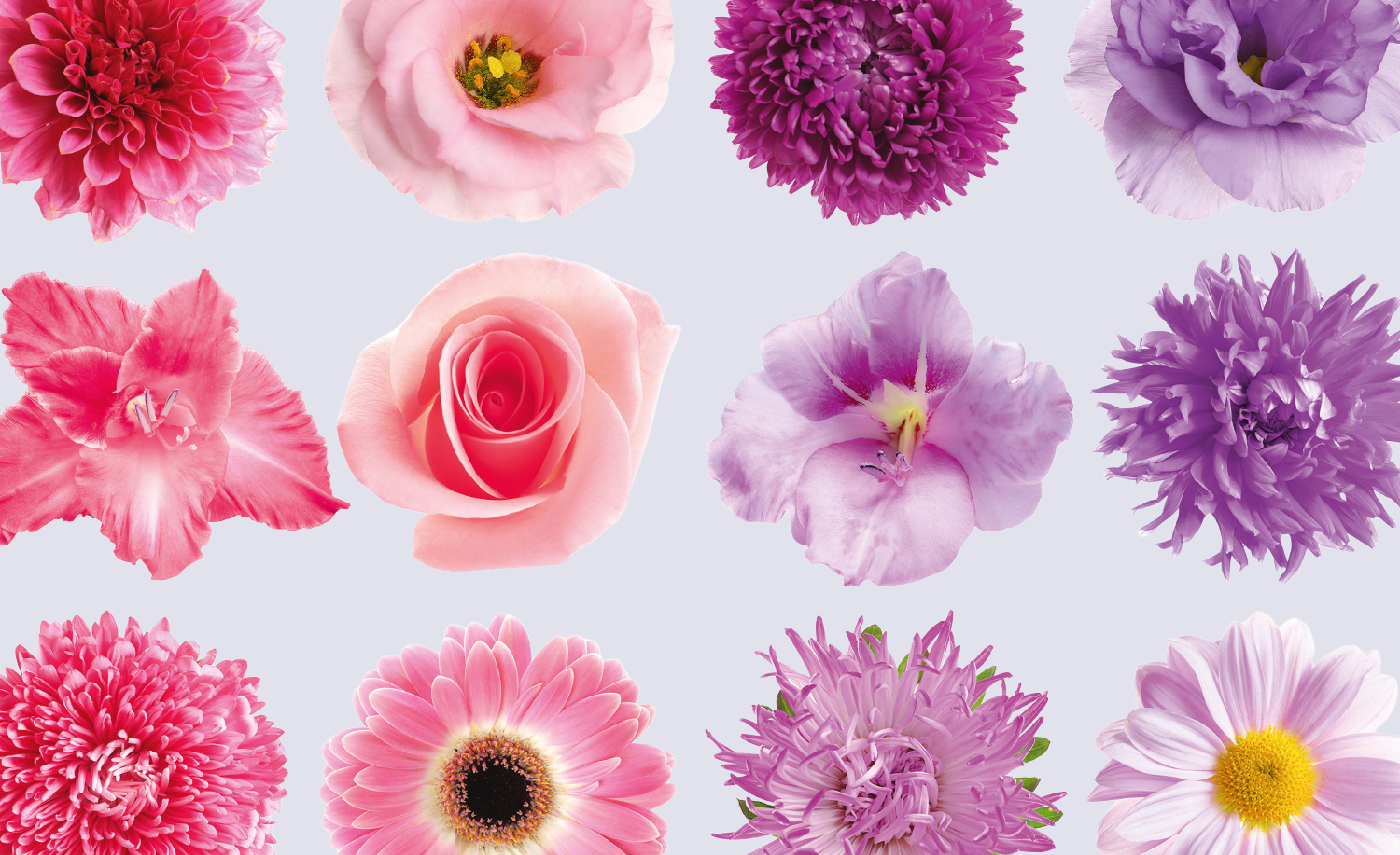 Make this Mother’s Day your busiest yet