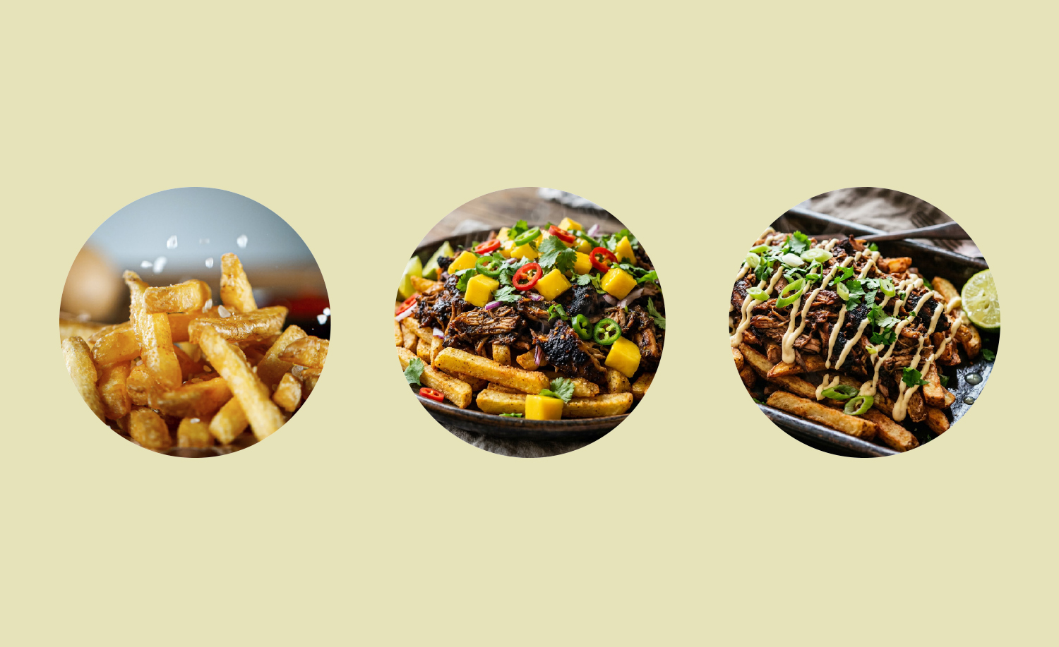 Pulled Jerk Chicken Fries
