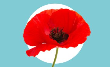 Remembrance Day